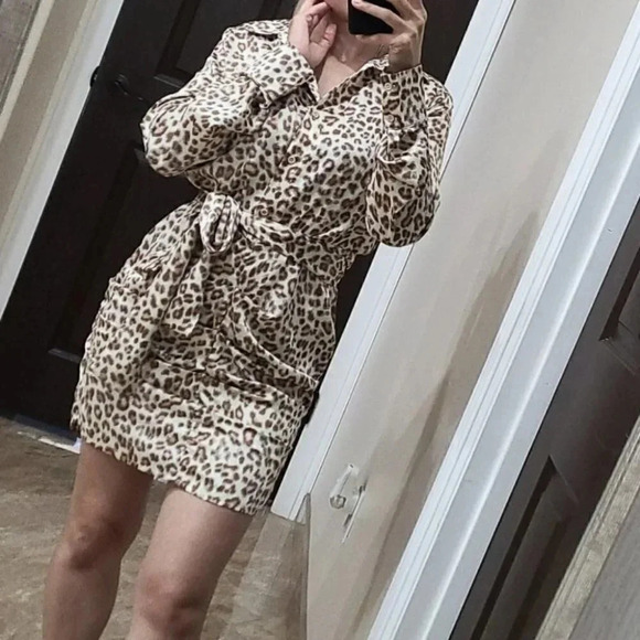 Pretty Little Thing Nude Satin Cheetah Print Dress - Picture 3 of 14